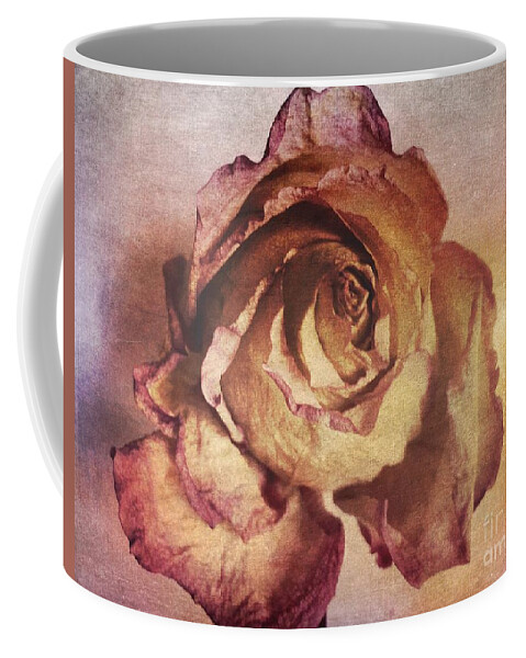 Rose Coffee Mug featuring the photograph Rose in Time by Onedayoneimage Photography