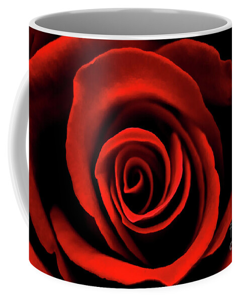 Flower Coffee Mug featuring the photograph Rose by Mariusz Talarek