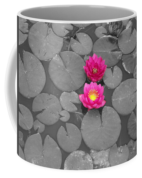 Fuchsia Water Lily Coffee Mug featuring the photograph Rose of the Water by Colleen Cornelius