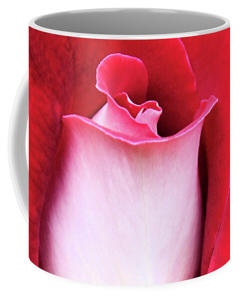 Rose Coffee Mug featuring the photograph Rose Petals by Kristin Elmquist