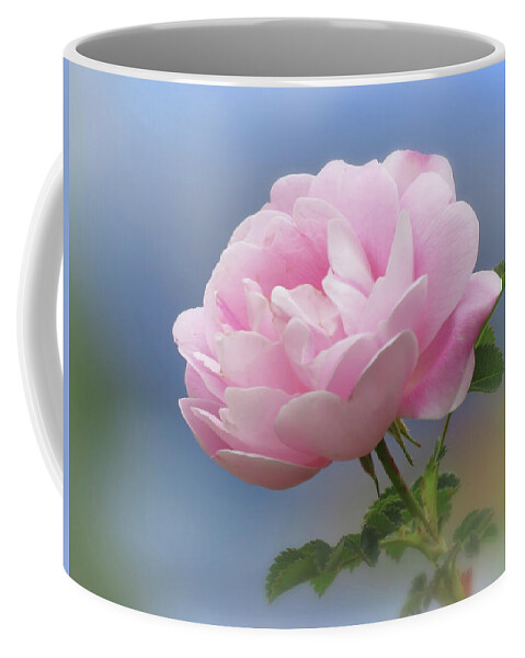 Rose Coffee Mug featuring the photograph Rose Pink on Blue by MTBobbins Photography