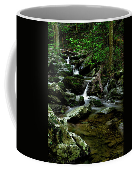 Shenandoah National Park Coffee Mug featuring the photograph Rose River by C Renee Martin