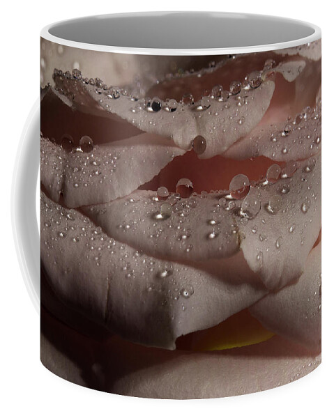 Rose Coffee Mug featuring the photograph Rose Series 1 Pink by Mike Eingle