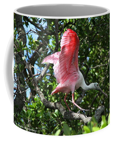 Spoonbill Coffee Mug featuring the photograph Roseate Spoonbill in flight by Barbara Bowen