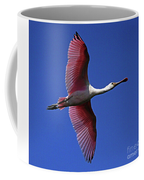Roseate Spoonbill Coffee Mug featuring the photograph Roseate Spoonbill on the wing by Larry Nieland