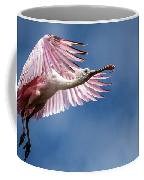 Spoonbill Coffee Mug featuring the photograph Roseate Spoonbill wings it by Steven Upton