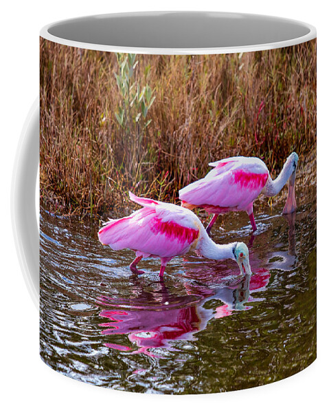 Birds Coffee Mug featuring the photograph Roseate Spoonbills Swishing for Food by John M Bailey