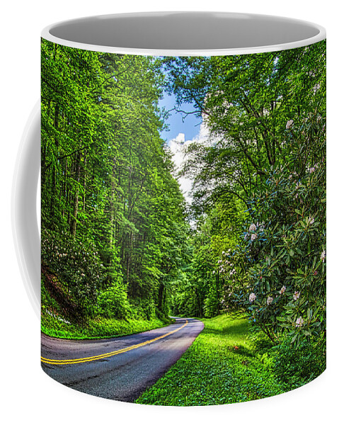 Blue Ridge Parkway Coffee Mug featuring the photograph Rosebay Heaven by Dale R Carlson