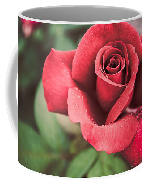 Flower Coffee Mug featuring the photograph Roses Are Red by Parker Cunningham