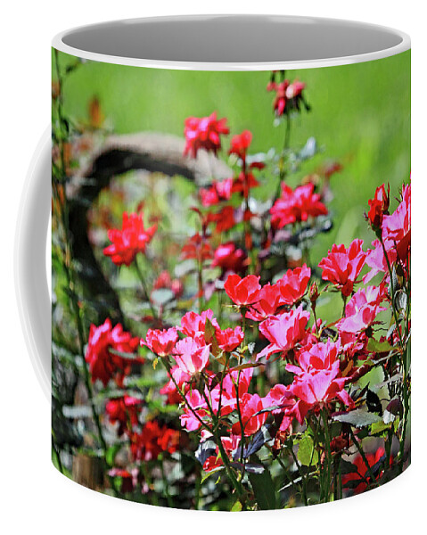 Roses Are Red Coffee Mug featuring the photograph Roses are Red by PJQandFriends Photography