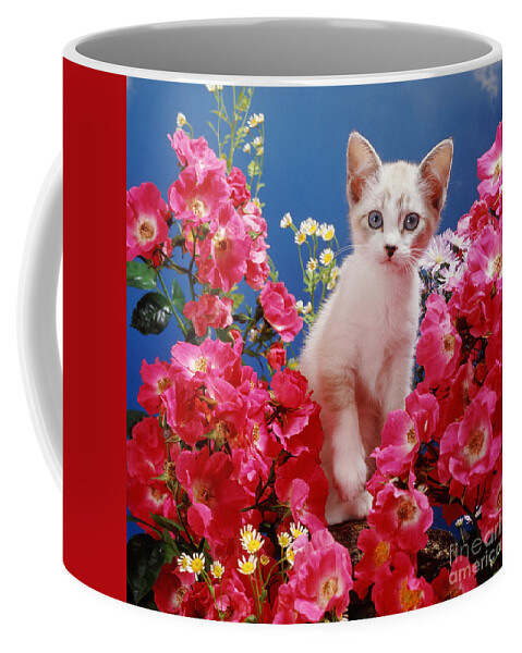 Devon Rex Coffee Mug featuring the photograph Roses Galore by Warren Photographic