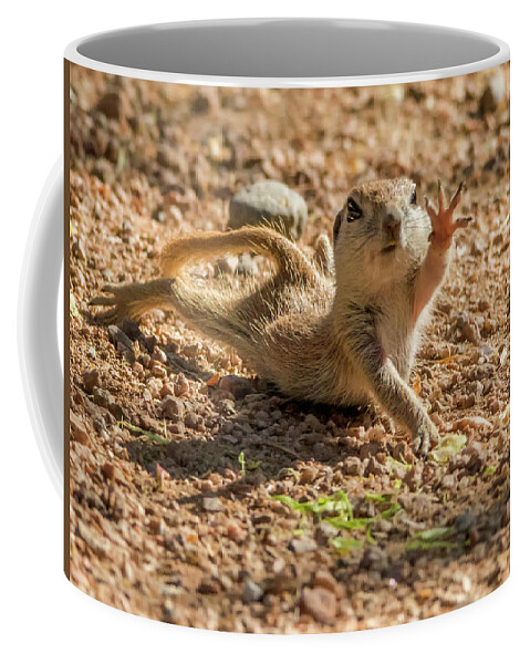 Round-tailed Coffee Mug featuring the photograph Round-tailed Ground Squirrel Stretch by Tam Ryan