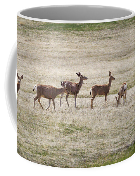 Deer Coffee Mug featuring the photograph Row of Deer by Natalie Rotman Cote