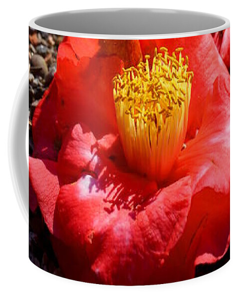 Macro Coffee Mug featuring the photograph Row of Flowers by Kathryn Jinae