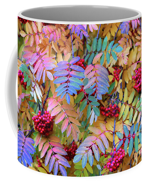 Sorbus Aucuparia Coffee Mug featuring the photograph Rowan by Michele Penner