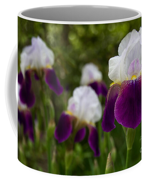 Royalty Coffee Mug featuring the photograph Royalty by Jemmy Archer