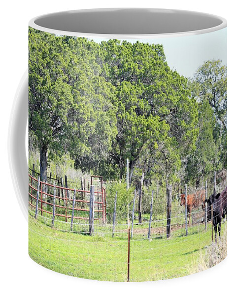  Coffee Mug featuring the photograph Cow003 by Jeff Downs