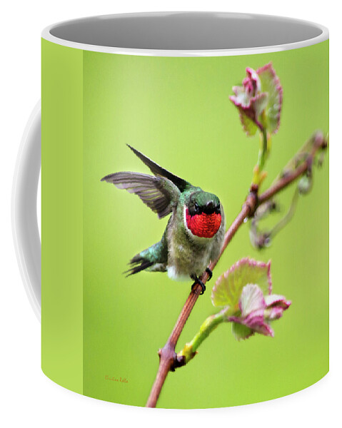 Birds Coffee Mug featuring the photograph Ruby Garden Hummingbird by Christina Rollo