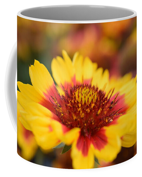 Flower Coffee Mug featuring the photograph Rudbeckia by Jimmy Chuck Smith