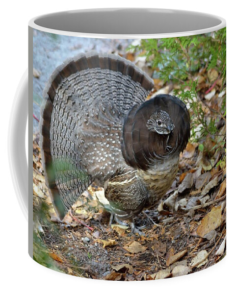 Nature Coffee Mug featuring the photograph Ruffed Up- Ruffed Grouse displaying by David Porteus