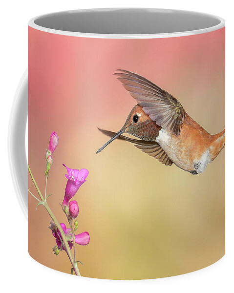 American Southwest Coffee Mug featuring the photograph Rufous Hummingbird with Penstemon by James Capo