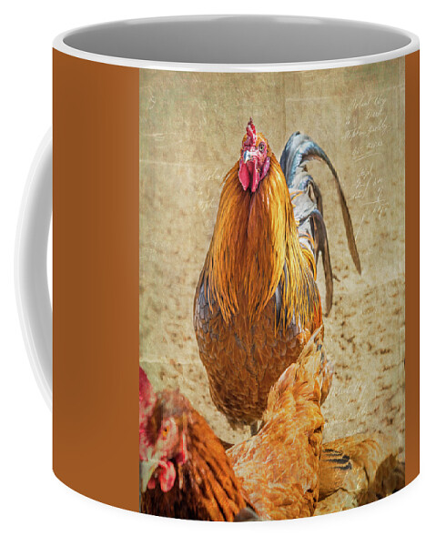 Chicken Coffee Mug featuring the photograph Ruler of the Roost by Jennifer Grossnickle