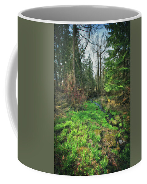 Wisconsin Landscape Coffee Mug featuring the photograph Running Creek in Woods - Spring at Retzer Nature Center by Jennifer Rondinelli Reilly - Fine Art Photography