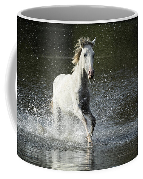 Wild Horse Coffee Mug featuring the photograph Running Wild and Free Forever by Saija Lehtonen