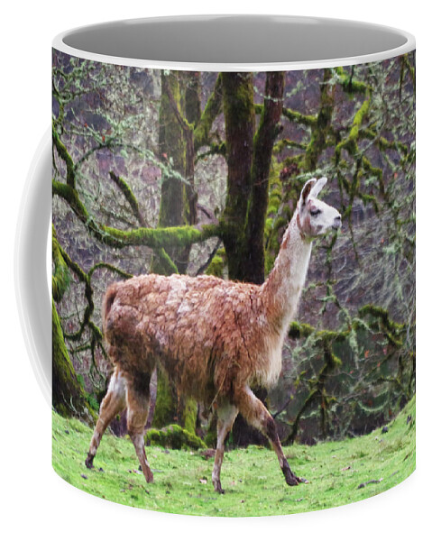 Adria Trail Coffee Mug featuring the photograph Runway Composure by Adria Trail