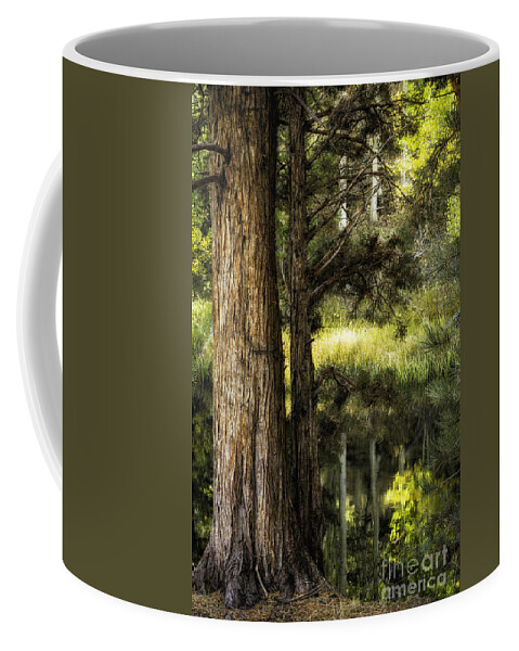 California Coffee Mug featuring the photograph Rush Creek Pines 2 by Timothy Hacker