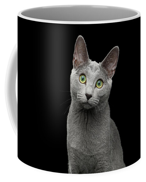 Cat Coffee Mug featuring the photograph Russian blue cat with amazing green eyes on isolated black backg by Sergey Taran