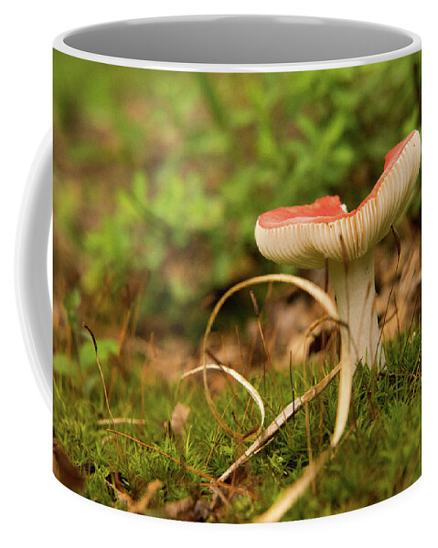 Fungi Coffee Mug featuring the photograph Russula Grass and Moss by Douglas Barnett
