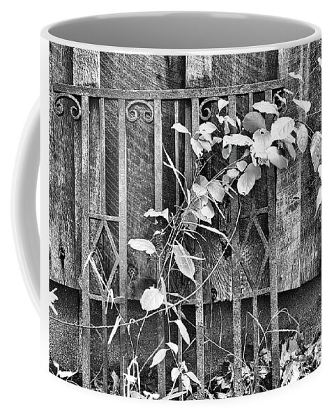 Wrought Iron Coffee Mug featuring the photograph Rusted Wrought Iron And Leaves by Smilin Eyes Treasures