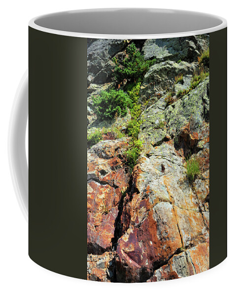 Rock Coffee Mug featuring the photograph Rusty Rock Face by Ron Cline