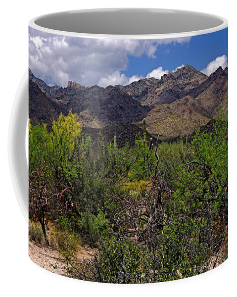 Acrylic Prints Coffee Mug featuring the photograph Sabino Canyon No55 by Mark Myhaver