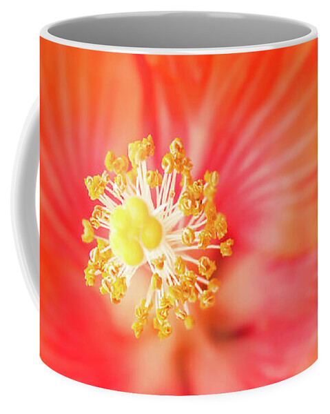 Hibiscus Coffee Mug featuring the photograph Sacred Song by Sharon Mau