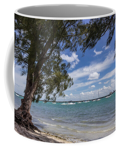 Ken Thompson Park Coffee Mug featuring the photograph Sailboats on Sarasota Bay by Liesl Walsh