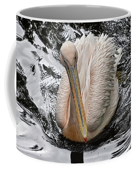 Eastern White Pelican Coffee Mug featuring the photograph Sailing along by Kuni Photography