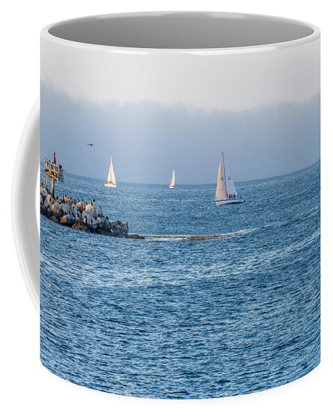 Sailing Coffee Mug featuring the photograph Sailing on the Bay by Derek Dean
