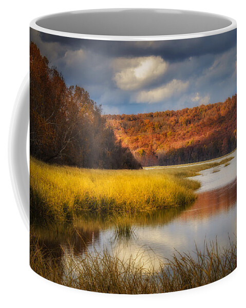 Sequoyah National Wildlife Refuge Coffee Mug featuring the photograph Sally Jones Lake by James Barber