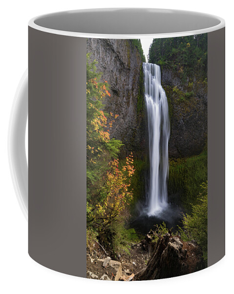 Pacific Northwest Coffee Mug featuring the photograph Salt Creek Falls by Brian Bonham