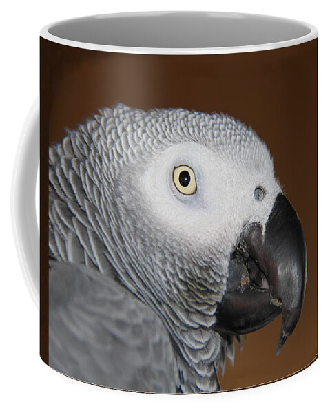 African Grey Coffee Mug featuring the photograph SAM by Andrea Lazar