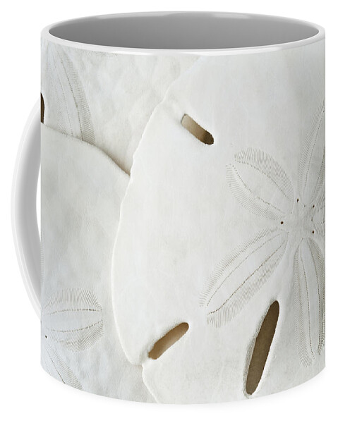 Beautiful Coffee Mug featuring the photograph Sand Dollars by Bill Brennan - Printscapes