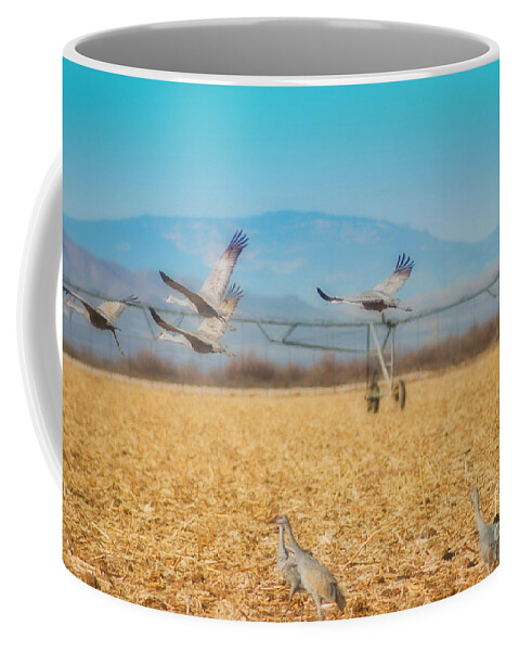 Crane Coffee Mug featuring the photograph Sandhill Cranes In Flight by Donna Greene