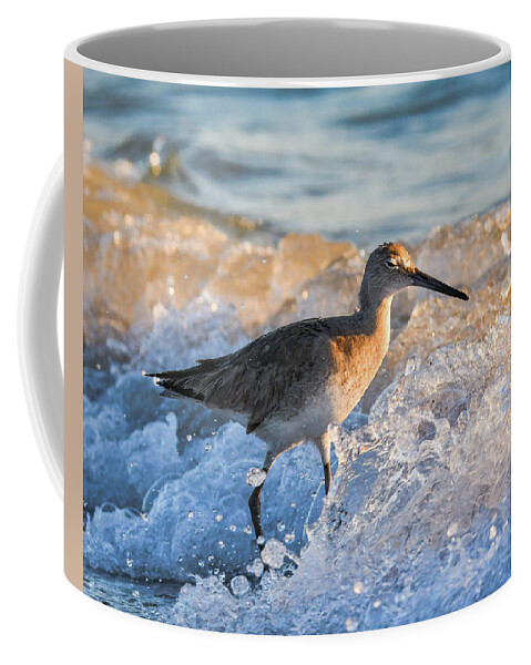 Baird's Coffee Mug featuring the photograph Sandpiper Bathing at Sunset by Artful Imagery