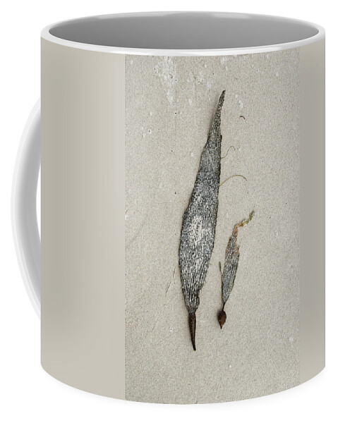 Still Life Coffee Mug featuring the photograph Sandside Still life - two by Kathleen Grace