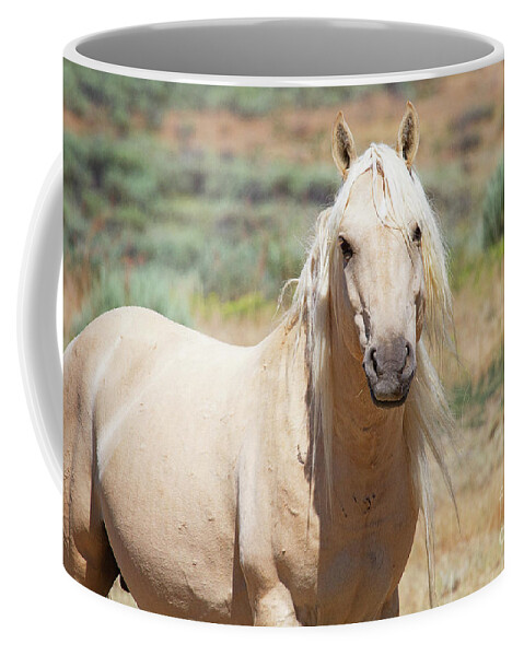 Horses Coffee Mug featuring the photograph Sandwash Basin Stallion by Jim Garrison