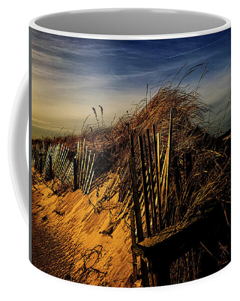 Sandy Neck Coffee Mug featuring the photograph Sandy Neck Winter Light by Frank Winters