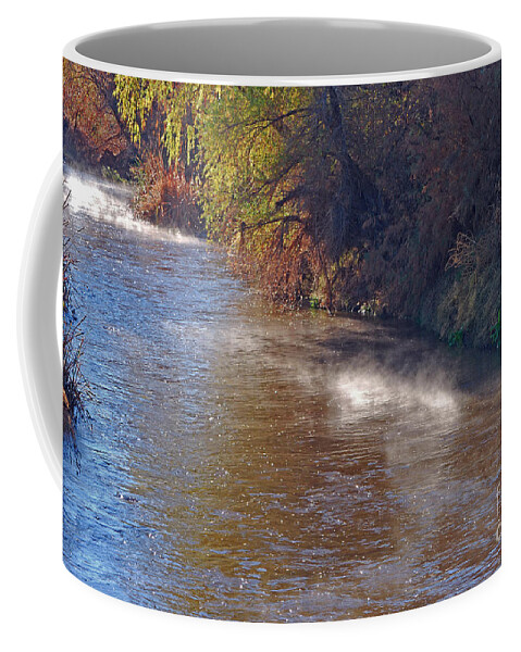 Fine Art Coffee Mug featuring the photograph Santa Cruz River - Arizona by Donna Greene