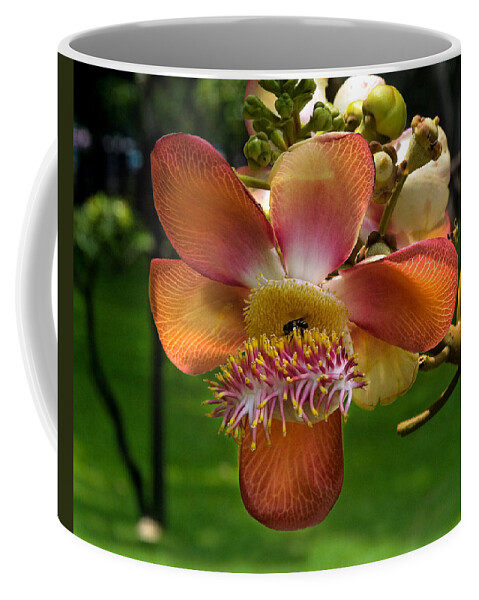 Scenic Coffee Mug featuring the photograph Sara Tree Flower DTHB104 by Gerry Gantt